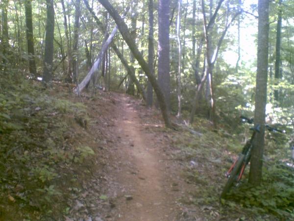 A narrow dirt path winding through a dense forest, surrounded by tall trees and lush greenery. A mountain bike is parked on the right side of the trail. Sunlight filters through the leaves, creating a serene and inviting atmosphere. Dark Mountain Trail mountain bike trail.
