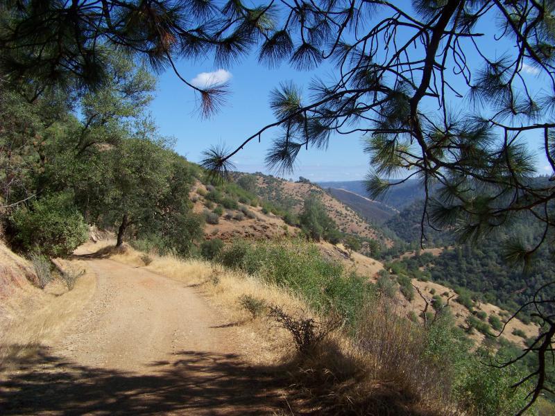 A dirt path winding through a scenic landscape, bordered by trees and shrubs. The view showcases rolling hills and distant mountains under a clear blue sky with a few clouds. Sunlight filters through the branches, creating a tranquil outdoor setting. Clementine Loop mountain bike trail.