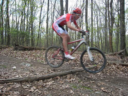A mountain biker in a red and white cycling outfit jumps over a log on a wooded trail, surrounded by trees and fallen leaves. Greenbrier State Park mountain bike trail.