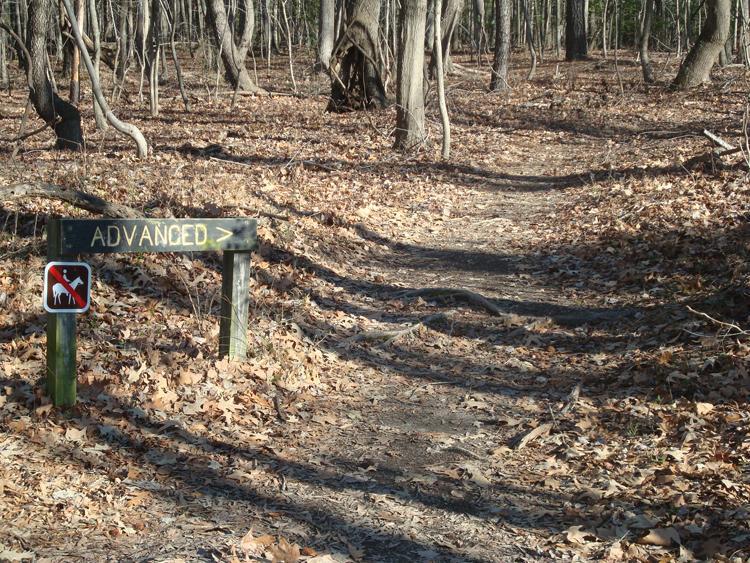 A wooded path in a forest, featuring a sign that reads "ADVANCED" with an arrow pointing to the right. Below the sign, there's a no-dogs symbol. The ground is covered with brown leaves, indicating autumn or late fall. Trees with bare branches are visible in the background. Harwood's Mill mountain bike trail.