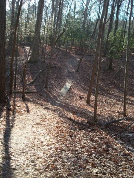 A wooded trail in a forest is lined with trees, with a narrow path covered in fallen leaves. A small wooden bridge crosses a slight dip in the trail, and the scene is illuminated by sunlight filtering through the tree branches, creating a peaceful, natural ambiance. Harwood's Mill mountain bike trail.