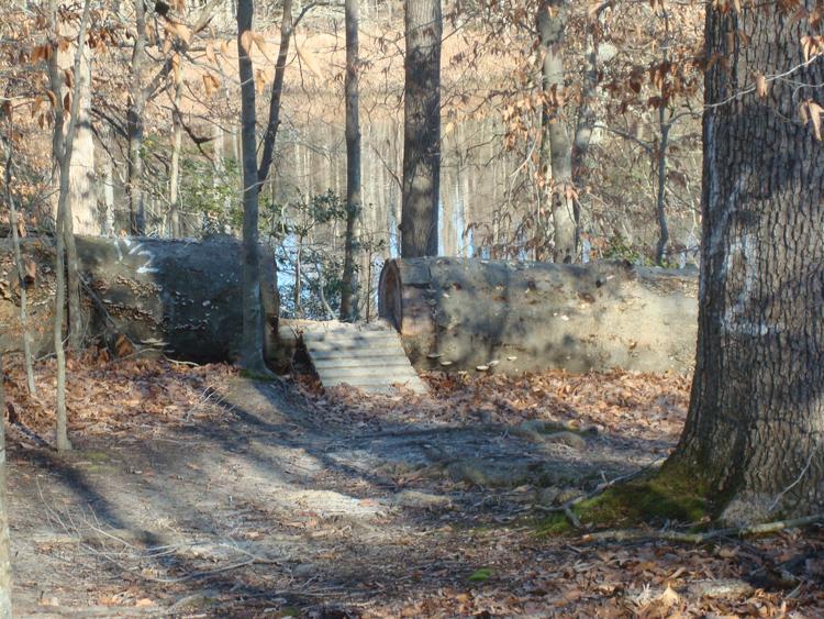 A tranquil forest scene featuring two large fallen logs beside a dirt path. The logs are covered in moss and bark, with scattered autumn leaves on the ground. Tall trees surround the area, and a calm body of water is visible in the background, reflecting the foliage. The scene conveys a sense of peaceful nature. Harwood's Mill mountain bike trail.