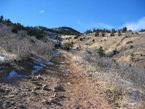 A dirt hiking trail winding through a grassy landscape, bordered by sparse vegetation and small shrubs, with rocky hills and a clear blue sky in the background. Mount Falcon Park mountain bike trail.