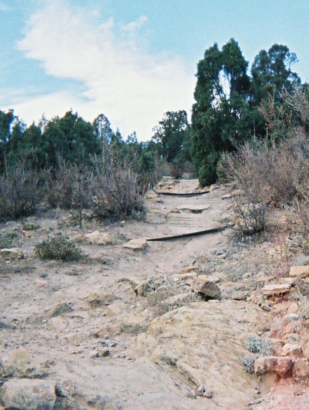 A winding dirt path leading through rocky terrain, flanked by sparse vegetation and trees under a partly cloudy sky. Mount Falcon Park mountain bike trail.