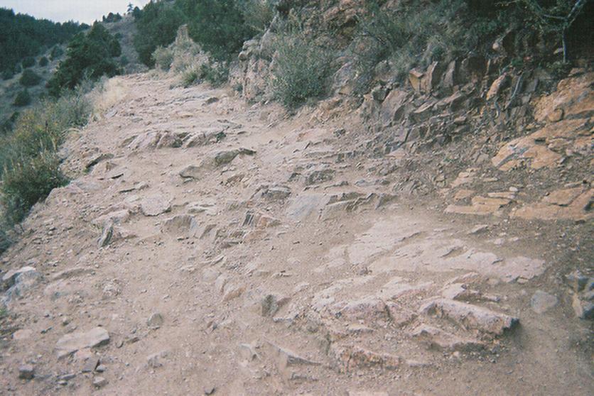 A rugged hiking trail made of rocky terrain, featuring loose stones and dirt paths surrounded by sparse greenery and a hillside in the background. Mount Falcon Park mountain bike trail.