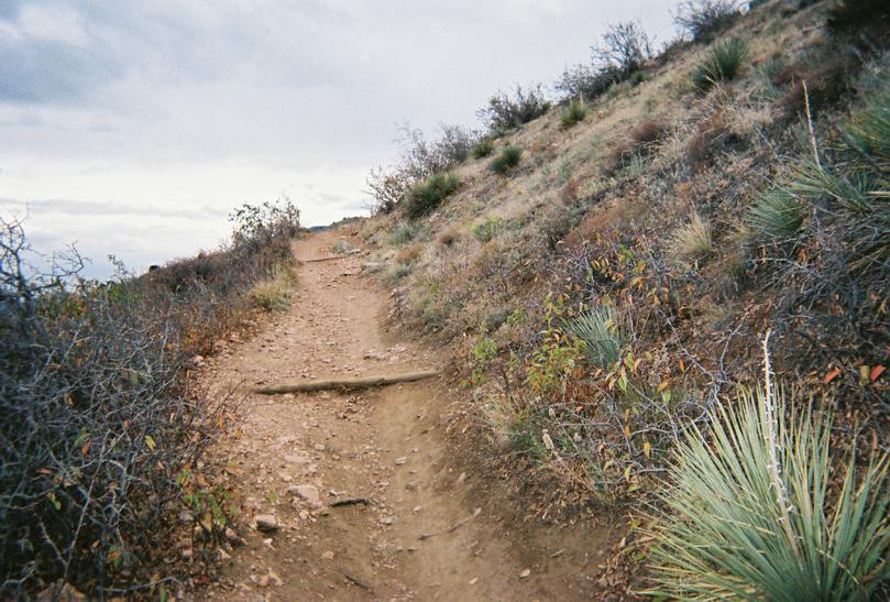 A dirt hiking trail winding up a hillside, surrounded by low vegetation and shrubs under a cloudy sky. The path is rugged, with a fallen log crossing the trail. Mount Falcon Park mountain bike trail.