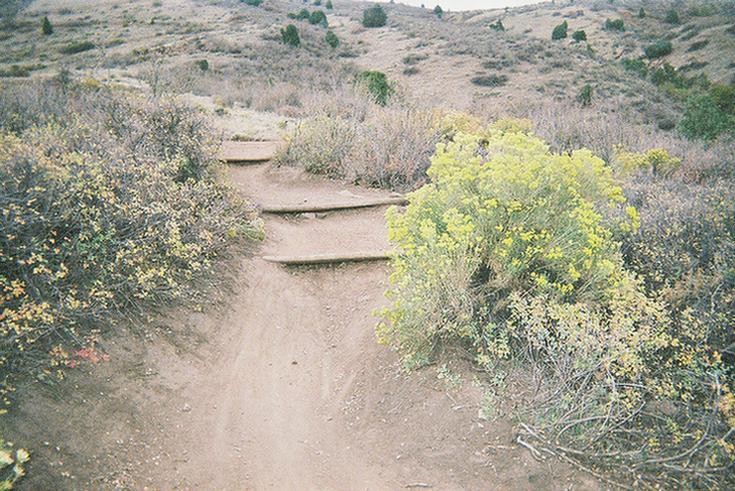 A dirt trail with wooden steps leads through a grassy hillside, surrounded by shrubs and yellow wildflowers. The landscape features rolling hills and sparse vegetation under a cloudy sky. Mount Falcon Park mountain bike trail.