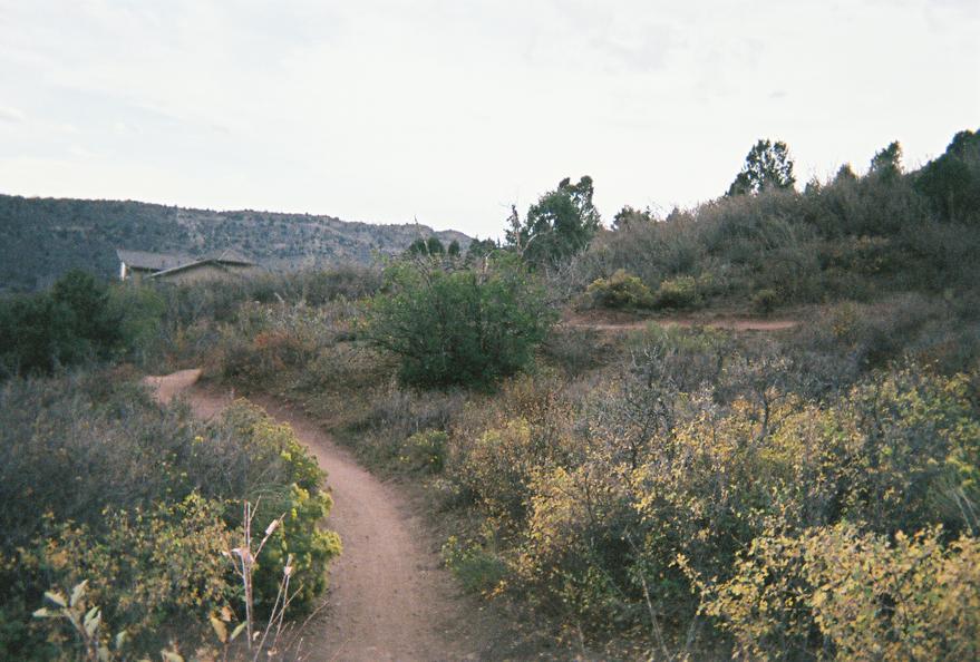 A winding dirt path leads through a landscape of shrubs and small trees, with rolling hills in the background under a cloudy sky. A single building is partially visible among the vegetation, suggesting a natural, outdoor setting. The scene captures the beauty of a tranquil hiking trail surrounded by autumn foliage. Mount Falcon Park mountain bike trail.