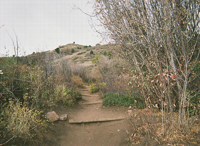 A narrow dirt trail winding through a hilly landscape, lined with sparse shrubs and trees showing signs of autumn foliage. The path leads upward toward a distant hill, under a cloudy sky. Mount Falcon Park mountain bike trail.