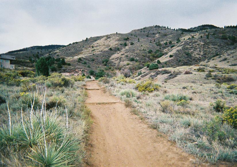 A dirt trail winding through a hilly landscape, surrounded by shrubs and wildflowers. The sky is overcast, creating a moody atmosphere. In the background, the rolling hills are dotted with trees, and a small building is partially visible on the left side of the image. Mount Falcon Park mountain bike trail.