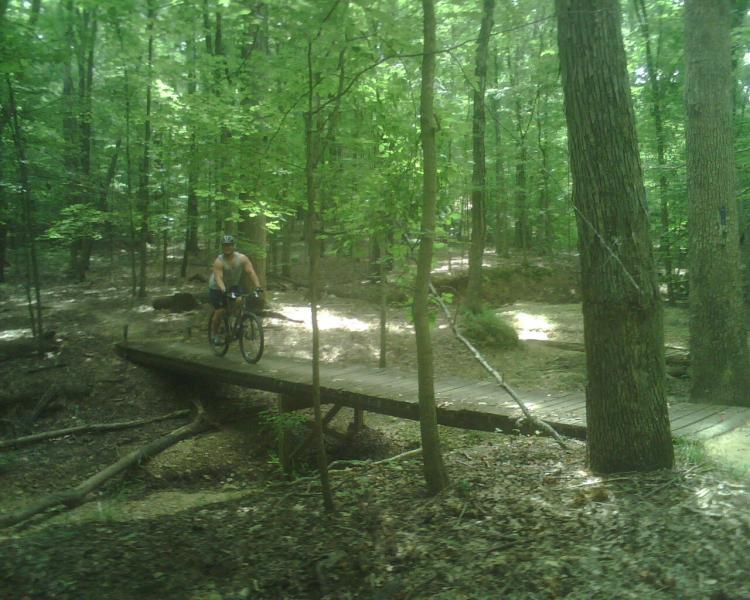 A person riding a mountain bike on a wooden bridge in a lush green forest. The scene is illuminated by dappled sunlight filtering through the trees, with rich foliage surrounding the path. Canal Loop mountain bike trail.