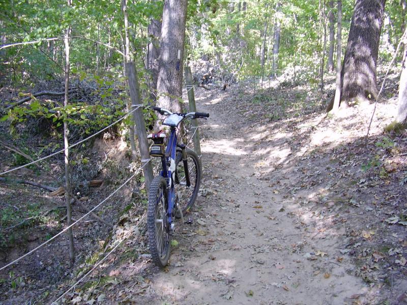 A mountain bike resting against a wooden fence along a dirt trail surrounded by tall trees and scattered leaves in a wooded area. Canal Loop mountain bike trail.