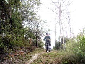 A cyclist riding a mountain bike along a narrow, grassy trail surrounded by trees and foliage on a cloudy day. Caloosahatchee Regional Park mountain bike trail.
