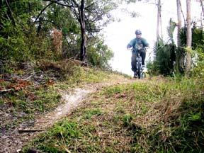 A mountain biker riding along a narrow, grassy trail in a wooded area, surrounded by trees and foliage. Caloosahatchee Regional Park mountain bike trail.