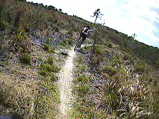 A person riding a mountain bike on a dirt trail surrounded by tall grass and sparse vegetation under a bright blue sky. Caloosahatchee Regional Park mountain bike trail.