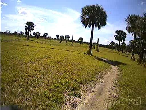 A sunny landscape featuring a dirt pathway winding through an open field with scattered palm trees. The sky is bright with a few clouds, and the grass is lush and green. Caloosahatchee Regional Park mountain bike trail.