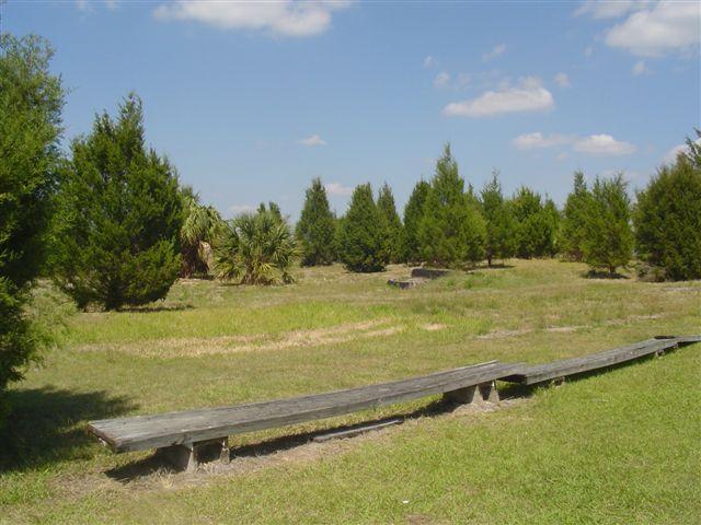 A grassy field with a wooden bench in the foreground, surrounded by clusters of evergreen trees under a blue sky with scattered clouds. Caloosahatchee Regional Park mountain bike trail.