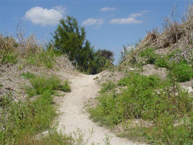 A dirt path surrounded by lush greenery and overgrown vegetation, leading through a narrow passageway between hills of dried grass and plants under a clear blue sky. Caloosahatchee Regional Park mountain bike trail.