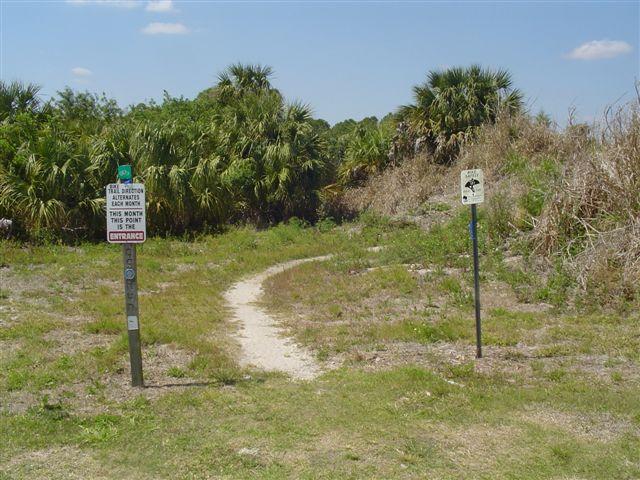 A winding dirt path leads into a natural area, flanked by greenery and palm trees. On the left, a sign indicates the entrance to the area, while a second sign on the right displays information about wildlife. The scene is set under a clear blue sky. Caloosahatchee Regional Park mountain bike trail.