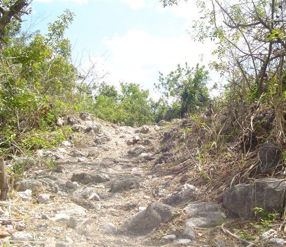 A rocky and uneven dirt path winding through dense greenery under a bright sky. The trail is flanked by bushes and small trees, with scattered stones and earthy tones visible along the path. Caloosahatchee Regional Park mountain bike trail.