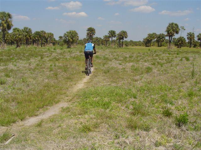 A cyclist riding along a dirt trail through a grassy field, with palm trees visible in the background under a bright blue sky. Caloosahatchee Regional Park mountain bike trail.