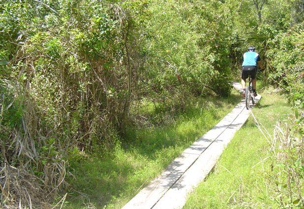 A cyclist navigating a narrow wooden path surrounded by lush greenery and dense bushes, with sunlight filtering through the foliage. Caloosahatchee Regional Park mountain bike trail.