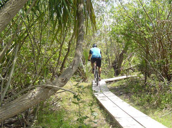 A person riding a bicycle on a wooden path surrounded by lush greenery and trees. The path winds through a dense area of vegetation, with sunlight filtering through the leaves above. Caloosahatchee Regional Park mountain bike trail.