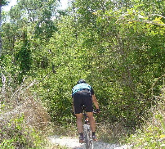 A cyclist in a blue and black outfit riding a mountain bike along a dirt path surrounded by lush green foliage and trees. Caloosahatchee Regional Park mountain bike trail.