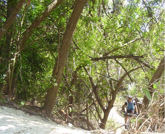 A cyclist riding on a narrow trail surrounded by dense green vegetation and trees. Sunlight filters through the leaves, creating a dappled effect on the ground. The scene captures the essence of outdoor adventure and nature exploration. Caloosahatchee Regional Park mountain bike trail.