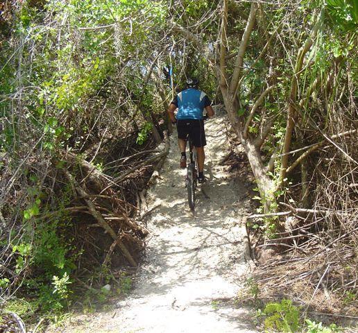 A person riding a mountain bike on a narrow, unpaved trail surrounded by dense vegetation and bushes. The path is sandy and leads into a wooded area. Caloosahatchee Regional Park mountain bike trail.