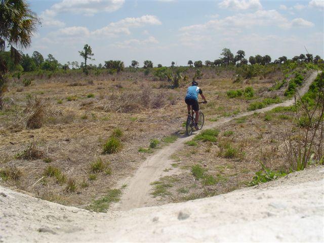 A cyclist riding along a dirt path through a sparse, open landscape with sparse vegetation and a blue sky dotted with clouds. The scene captures a sense of adventure in a natural setting. Caloosahatchee Regional Park mountain bike trail.