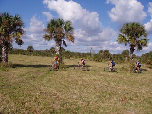 A group of four cyclists riding mountain bikes along a grassy trail, with palm trees in the background and a clear blue sky filled with clouds. Caloosahatchee Regional Park mountain bike trail.
