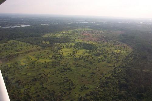Aerial view of a lush, green landscape featuring scattered trees and open grassy areas, with a river visible in the distance under a hazy sky. Caloosahatchee Regional Park mountain bike trail.