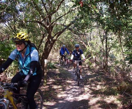 Three cyclists navigate a narrow dirt trail surrounded by lush greenery and trees. The first cyclist, wearing a yellow helmet and a blue jacket, is focused on the path ahead. The second cyclist, in a blue top, follows closely behind, while the third cyclist trails in the background. The scene captures a vibrant outdoor biking adventure. Caloosahatchee Regional Park mountain bike trail.
