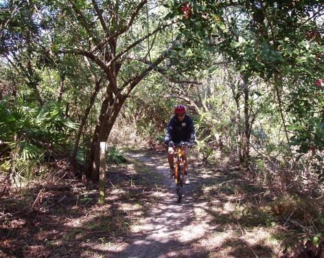 A person riding a bicycle on a narrow dirt trail surrounded by dense greenery and trees in a natural setting. Caloosahatchee Regional Park mountain bike trail.