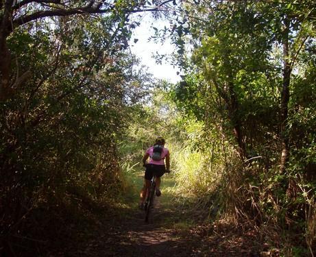 A person riding a mountain bike along a narrow, wooded trail surrounded by lush greenery and sunlight filtering through the trees. Caloosahatchee Regional Park mountain bike trail.
