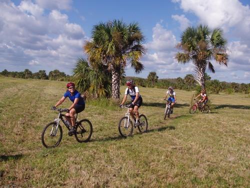 A group of four mountain bikers riding along a grassy trail, surrounded by palm trees under a partly cloudy blue sky. Caloosahatchee Regional Park mountain bike trail.