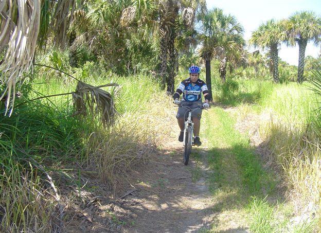 A cyclist riding a mountain bike on a narrow trail surrounded by tall grass and palm trees in a sunny outdoor setting. The rider is wearing a blue and black cycling jersey and a helmet. Caloosahatchee Regional Park mountain bike trail.