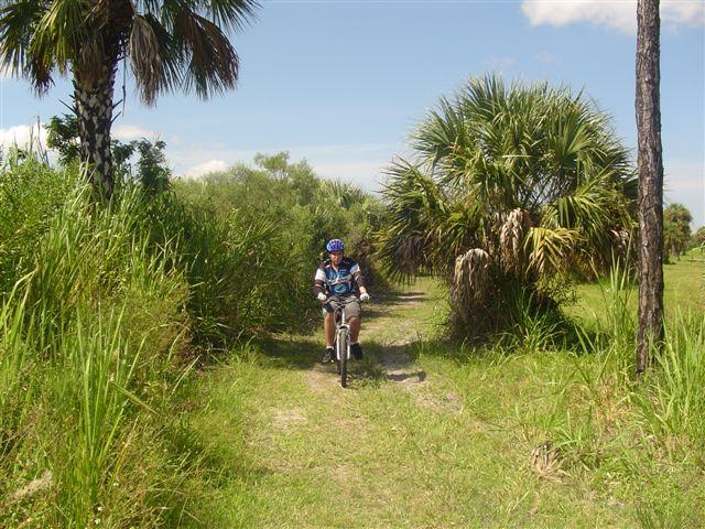 A person riding a mountain bike on a narrow trail surrounded by lush green vegetation and palm trees under a clear blue sky. Caloosahatchee Regional Park mountain bike trail.