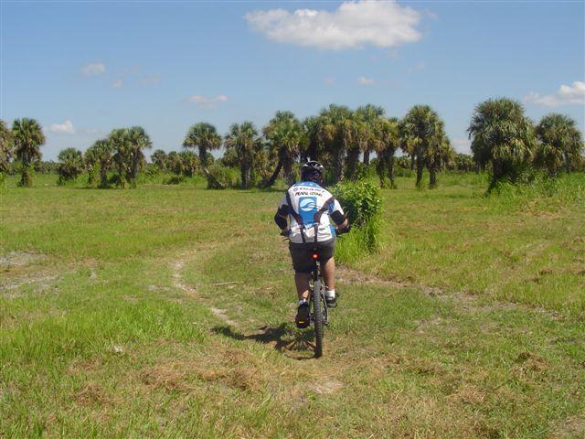 A cyclist riding away along a grassy trail, surrounded by palm trees under a blue sky with scattered clouds. Caloosahatchee Regional Park mountain bike trail.