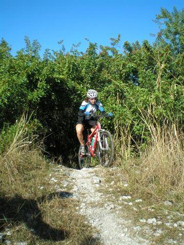A cyclist in a blue and black outfit rides a red mountain bike down a rocky trail surrounded by green bushes and tall grass under a clear blue sky. Caloosahatchee Regional Park mountain bike trail.