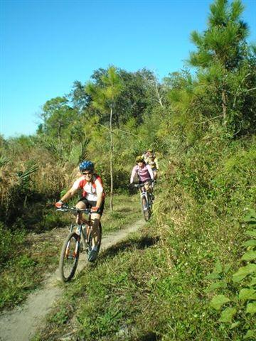 Two mountain bikers navigate a narrow trail surrounded by lush greenery and trees on a sunny day. The first rider wears a helmet and a bright red and white jersey, while the second rider follows closely behind in a pink jersey. Caloosahatchee Regional Park mountain bike trail.