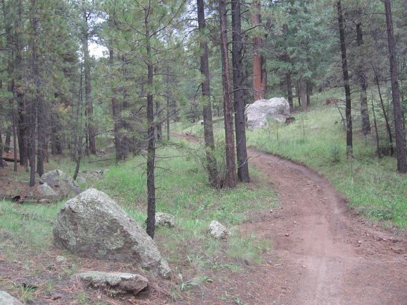 Alt text: A dirt path winding through a forest filled with tall pine trees and patches of grass, with several large rocks scattered along the trail. The scene is serene and natural, indicating a peaceful outdoor setting. Schultz Creek mountain bike trail.