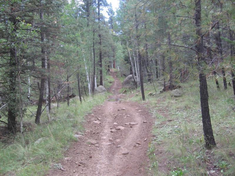 A winding dirt trail surrounded by tall trees and rocky terrain, leading deeper into a lush forest. The path is uneven and lined with grass, suggesting a natural, tranquil setting. Schultz Creek mountain bike trail.