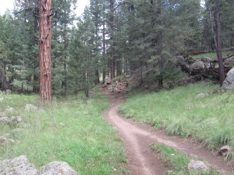 A winding dirt path leads through a lush green forest, surrounded by tall trees and scattered rocks. The trail curves to the right, inviting exploration in a peaceful natural setting. Schultz Creek mountain bike trail.