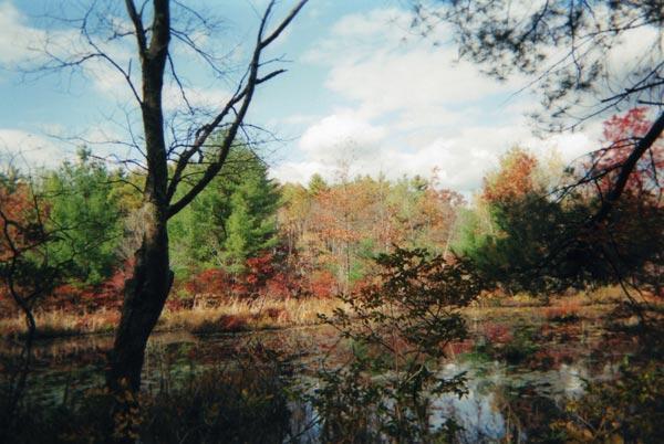 A tranquil landscape featuring a reflective pond surrounded by vibrant autumn foliage. Trees with bare branches frame the scene on the left, while a variety of colorful leaves in shades of red, orange, and green fill the background. The sky is partly cloudy, adding to the serene atmosphere of the natural setting. Douglas State Forest mountain bike trail.
