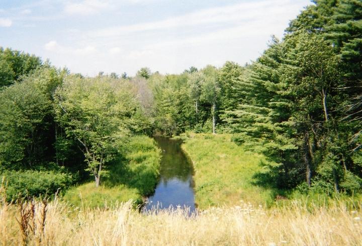 A serene view of a winding creek surrounded by lush green trees and tall grasses under a clear blue sky. The tranquil water reflects the greenery, creating a peaceful natural landscape. Ashland State Park mountain bike trail.