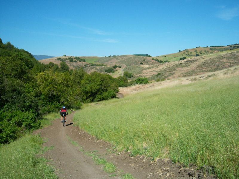 A cyclist riding on a dirt path through a lush green meadow, surrounded by rolling hills and blue sky. Santa Teresa Park mountain bike trail.