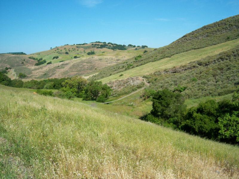 A panoramic view of rolling hills covered in green and brown grasses under a clear blue sky. The landscape features a winding trail cutting through the gentle slopes, with patches of trees and shrubs nestled in the lower areas. Santa Teresa Park mountain bike trail.