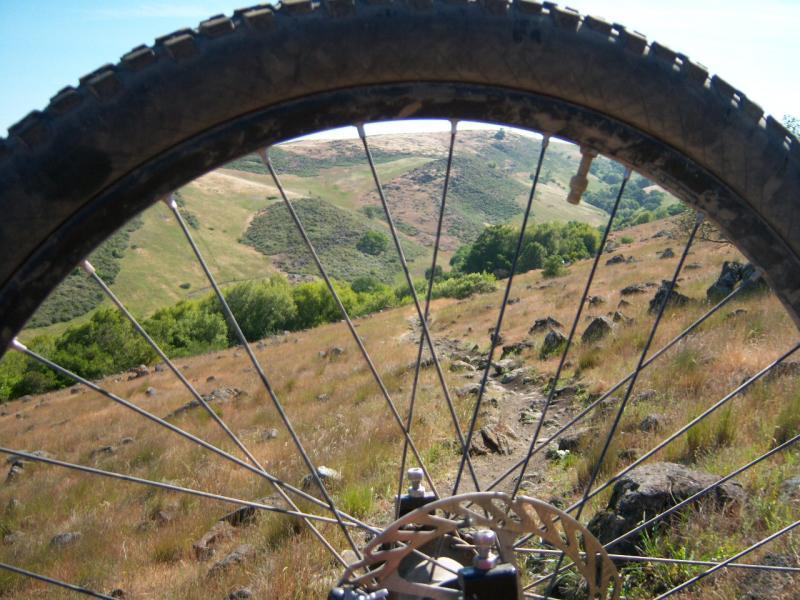 Mountain bike wheel in the foreground, showing a view of a hilly landscape with grass and scattered trees under a clear blue sky. Santa Teresa Park mountain bike trail.